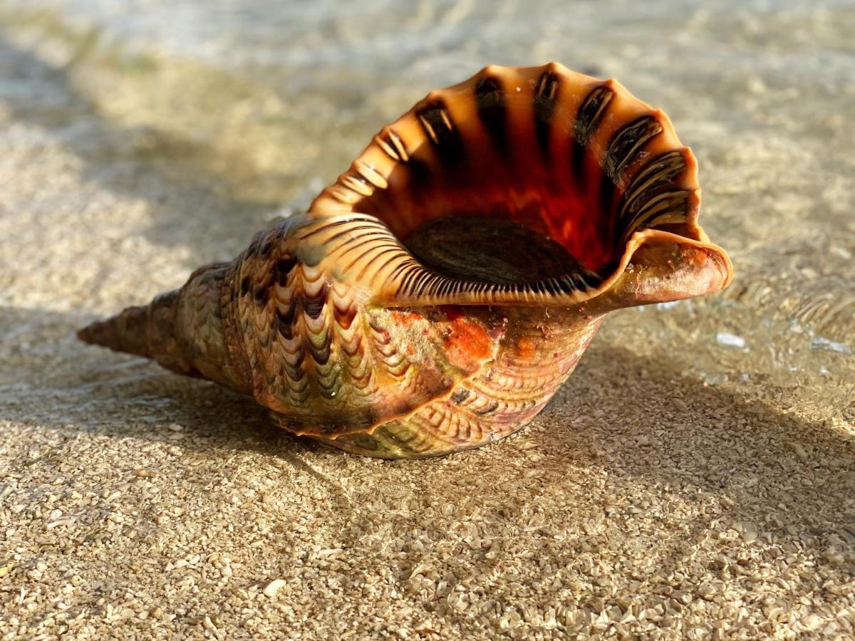 Reconnect - Private Island Resort & Dive Center Togean - Buka Buka Island Ampana ภายนอก รูปภาพ