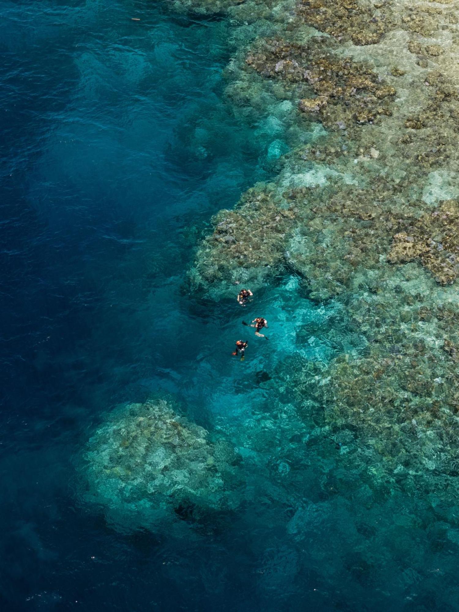 Reconnect - Private Island Resort & Dive Center Togean - Buka Buka Island Ampana ภายนอก รูปภาพ