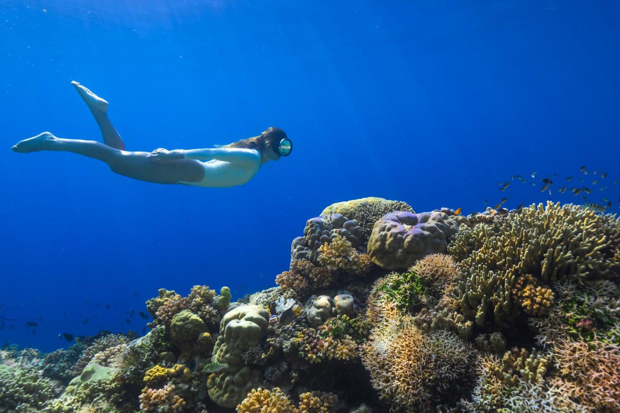 Reconnect - Private Island Resort & Dive Center Togean - Buka Buka Island Ampana ภายนอก รูปภาพ