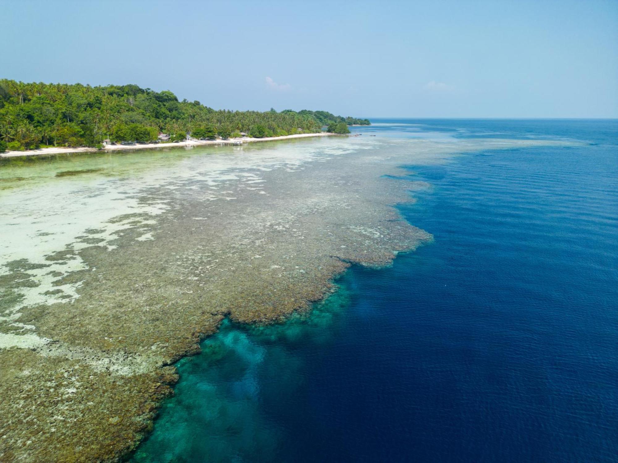 Reconnect - Private Island Resort & Dive Center Togean - Buka Buka Island Ampana ภายนอก รูปภาพ